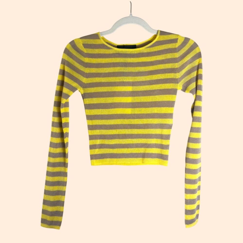 Zara Striped Cropped Knit Top